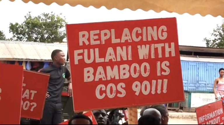 A/R: Imminent Plantain Shortage Looms In Ghana Due To Mass Destruction of Farms For Bamboo Plantation.
