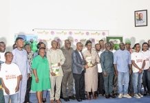 New ‘Nkomo’ Hybrid Maize Launched to Drive Ghana’s Food Security Agenda